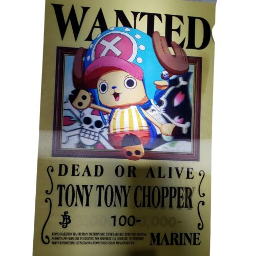 Poster Holograma Wanted PT One Piece Anime Cartel Se Busca que cambia según el movimiento